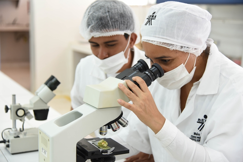 carrera-tecnica-alistamiento-laboratorio-microbiologia-biotecnologia