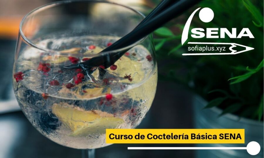 curso-presencial-de-cocteleria-sena